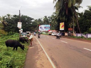 Billboard-Downhill,Malappuram